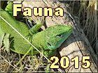 fauna2015