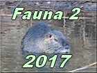 Fauna 2 2017