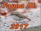 Fauna 3 2017