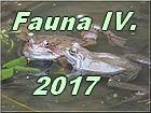 Fauna 4 2017