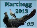 Marchegg2013