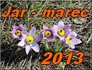 jar2013