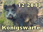 konigswarte12