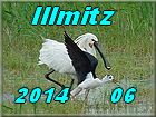 Illmitz