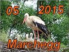 Marchegg2015
