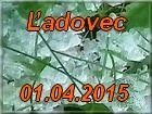 ladovec
