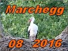 Marchegg