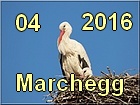 Marchegg