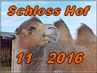 Schloss Hof