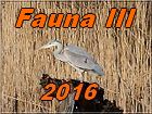fauna 3