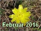 februar