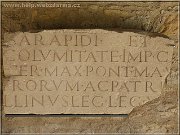 exponat