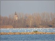 Kalinkovo