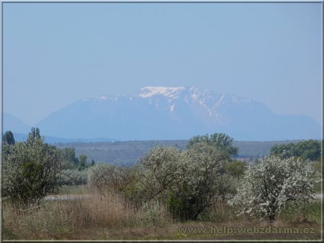 Schneeberg