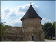 veza