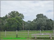 vyhliadka