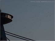 husi ufo