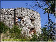 veza