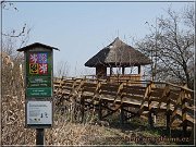vyhliadka