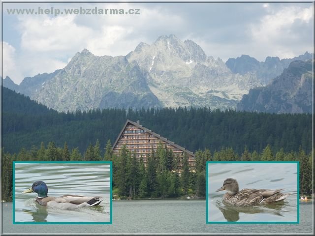 Strb pleso