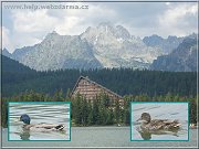 Strb pleso