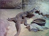 varan Ho