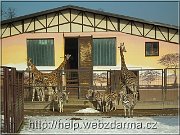 afrika