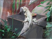 varan