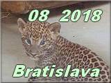 Ba 08-2018