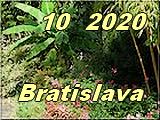 Ba 10-2020