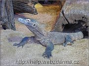 varan