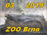 Brno 03-2019