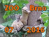 Brno 07-2017