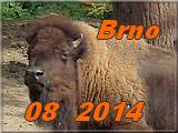 Brno 08-2014