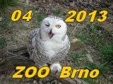 Brno 2013