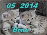Brno 05-2014