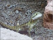 agama