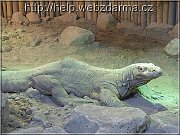 varan