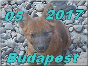 Budapest 2017