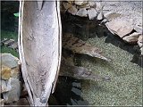 krokodil