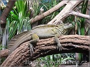 agama