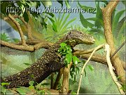 varan