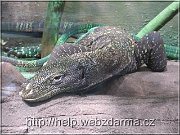varan