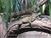 agama