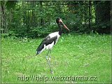 vtak04