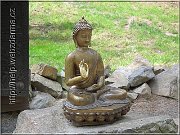 budha