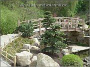 zahrada01