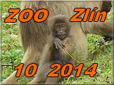 Zlin 2014