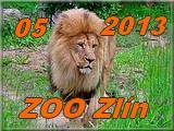 Zlin 2013