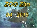 Zlin 2015